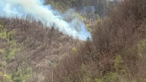 DSU, despre incendiul de pădure din Argeș: Se manifestă mocnit