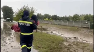 Intervenție de ultim moment: O bătrână salvată din calea apelor la Siliștea