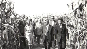 Ministrul Agriculturii: Ceauşescu n-a fost tâmpit cu asocierea în cooperativă, fără care irosim potenţialul agricol