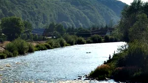 Râul Mureş, poluat accidental cu ulei de la o termocentrală a Romgaz 