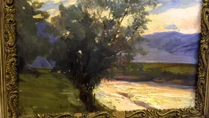 IMAGINI cu tablourile ridicate de anchetatori de la Darius Vâlcov - GALERIE FOTO