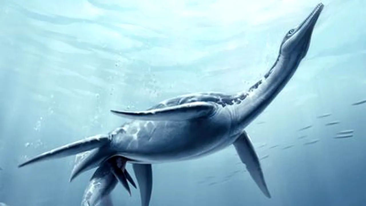 Plesiozaurii erau vivipari! Fosila unei reptile marine gestante a fost expusă la Los Angeles