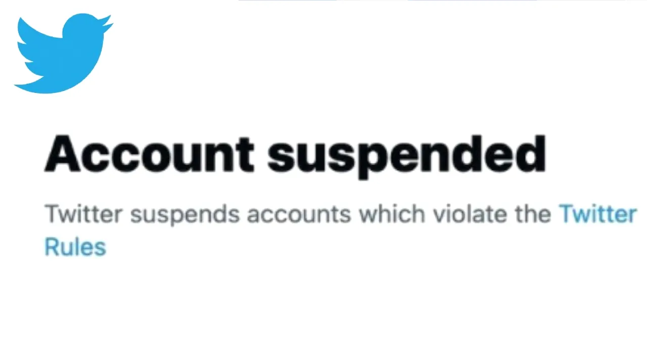 Twitter îi suspendă contul unui comediant pentru că l-a imitat pe Elon Musk 