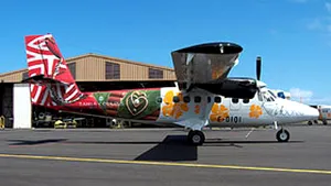 Cel puţin 16 morţi în urma prăbuşirii unui avion în Tahiti