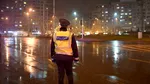 Fals polițist, arestat în județul Bihor după ce ar fi încasat mii de lei de la șoferi opriți în trafic