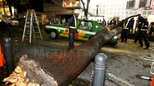 Cel puţin 15 morţi şi dispăruţi în Japonia, după trecerea taifunului Roke - FOTO
