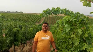 Viticultorii sporesc reziliența culturilor din România cu soluții inovatoare