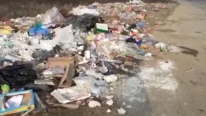 Mormane de gunoi, caroserii de maşini şi animale moarte, aproape de locuinţele de la marginea Craiovei. De ce nu poate interveni Garda de Mediu - VIDEO