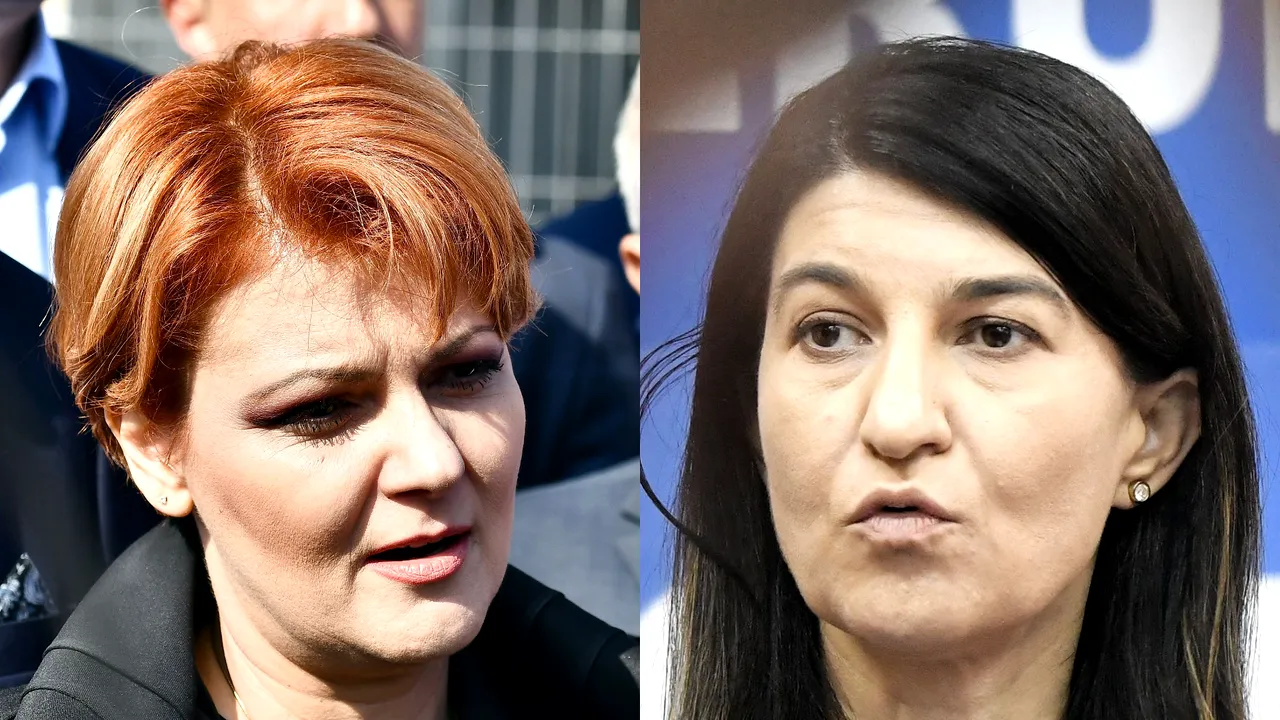 Scandal în Comisia pentru Muncă | Olguţa Vasilescu, despre Violeta Alexandru: Ne ia la mişto / Ministrul Muncii: Aţi sărit calul