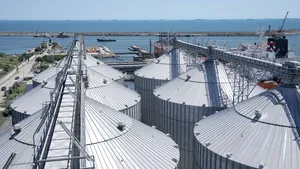 O companie din Ucraina cere Portului Constanţa să permită transferul de cereale între nave