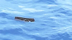 Resturile avionului militar dispărut în drum spre Antarctica, găsite de Forţele Aeriene chiliene. FOTO