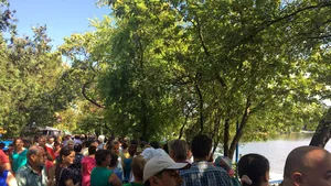 Se redeschide CineParK – cinematograful în aer liber din Herăstrău