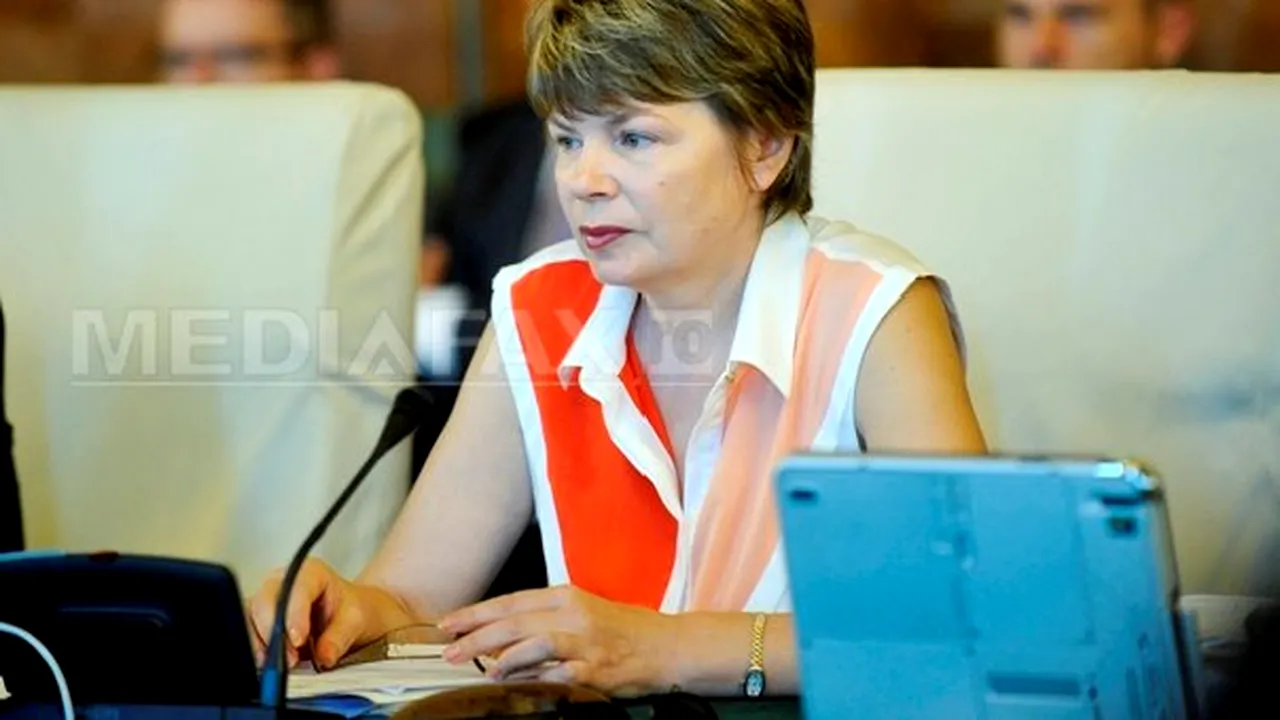 Planul de măsuri pentru intrarea în vigoare a noilor Coduri, prezentat în şedinţa de guvern