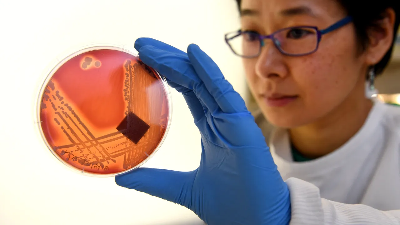 Raport ONU: Superbacteriile reprezintă un risc global pentru sănătate