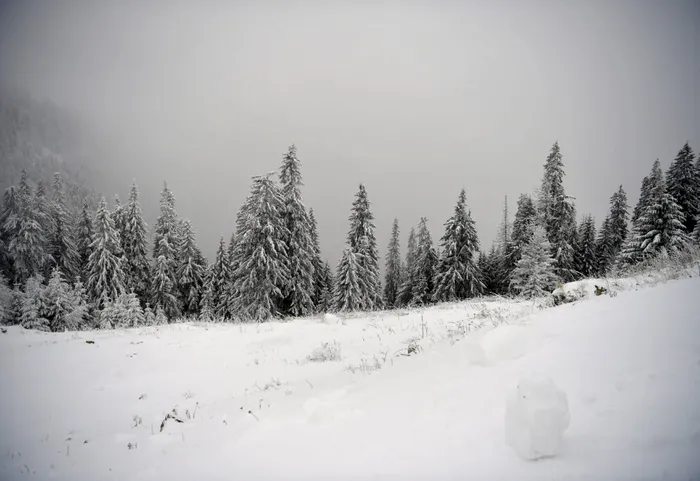 METEO 24 de ore de Cod roșu în Carpații Meridionali și de Curbură. Rafale de 120 km / h