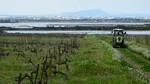 Fermierii francezi, sătui de secetă, au început să cultive năut, linte și chia
