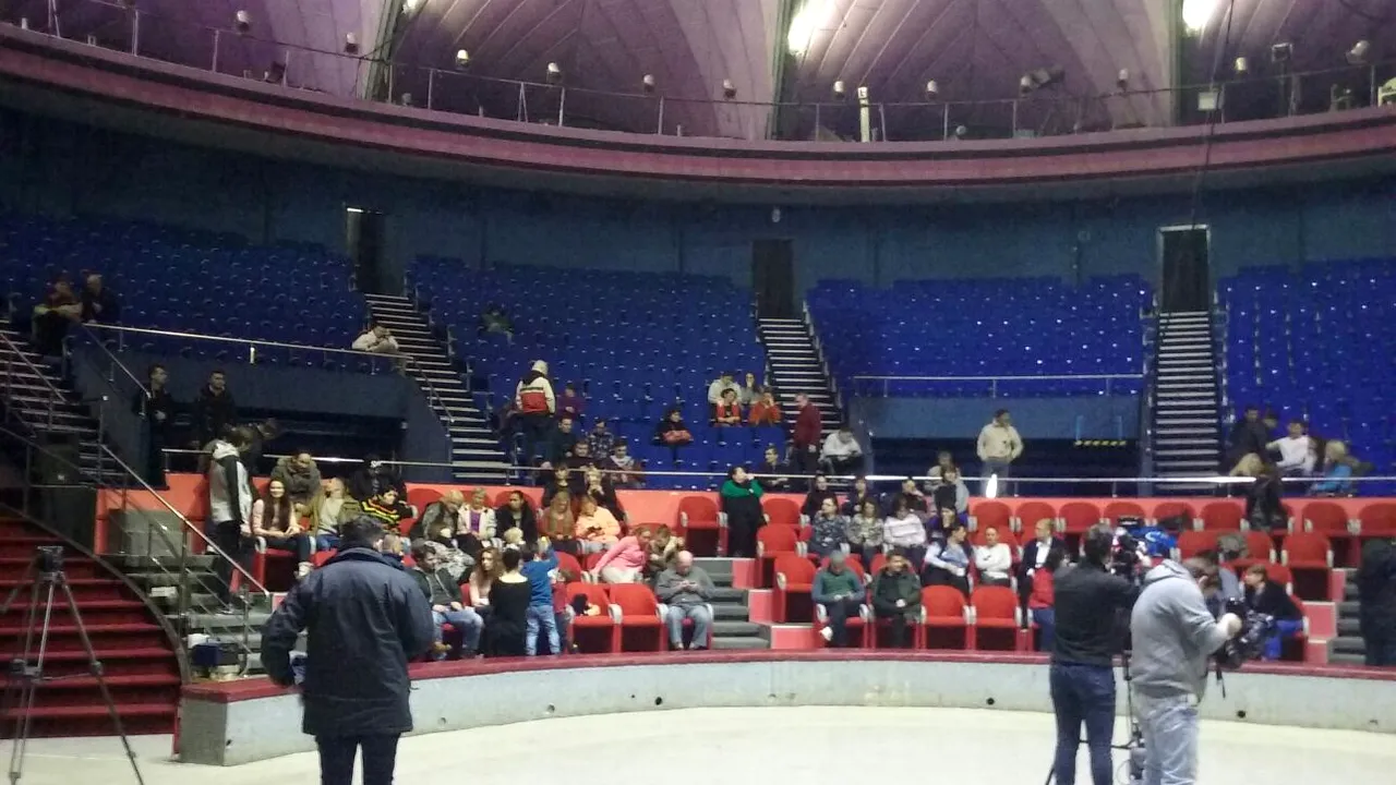 FOTO Protest al angajaţilor Circului Globus care nu vor demiterea directorului/ Firea: Am primit ameninţări de la managerul circului; E caz patologic
