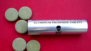 Noi detalii în cazul substanţei folosite la deratizarea din Timişoara. Cum afectează fosfura de aluminiu organele/ Medic: Nu există antidot