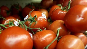 Coşuri cu legume olandeze pentru eurodeputaţii români, ca reacţie la declaraţia lui Traian Băsescu