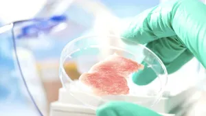 Carnea făcută în laborator, pe lista neagră. Parlamentarii discută interzicerea ei în România