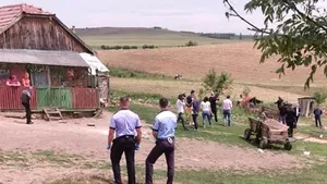 Poliţiştii mureşeni şi Asociaţia Kola Kariola, acţiune pentru salvarea unor căţeluşi, fraţii puiului ucis cu lopata de un copil