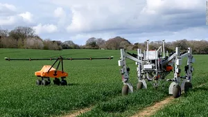 Agricultură într-un mod ecologic. Trei roboţi ajută fermierii să cureţe solul de buruieni şi să planteze