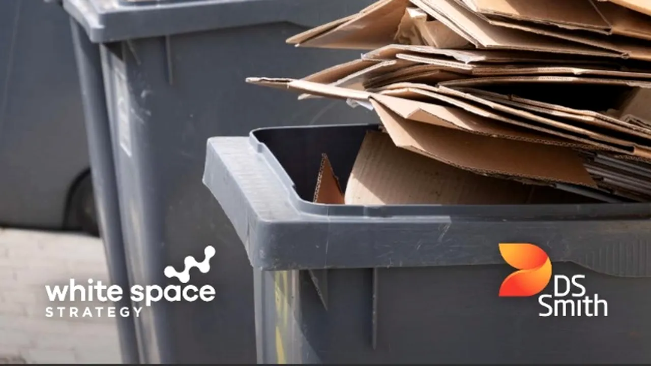 Creşterea ratelor de reciclare a hârtiei şi cartonului în Europa 