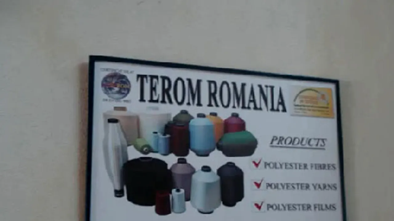 Nouă persoane, trimise în judecată pentru falimentarea Terom