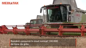 Morarii au cerut ajutorul statului pentru că nu mai faceau faţă cererii de grâu după întoarcerea românilor din diaspora