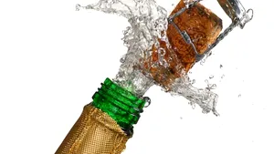 MESAJE REVELION 2016: Spune 