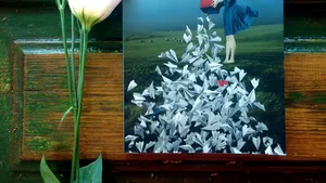 INTERVIU - Ioana Cristina Casapu, despre 