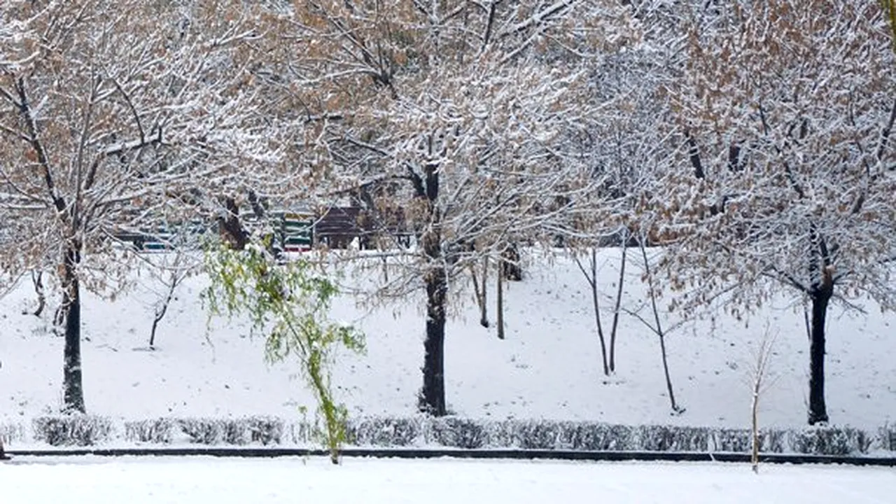 O grenadă a fost găsită în Parcul Tineretului din Capitală 