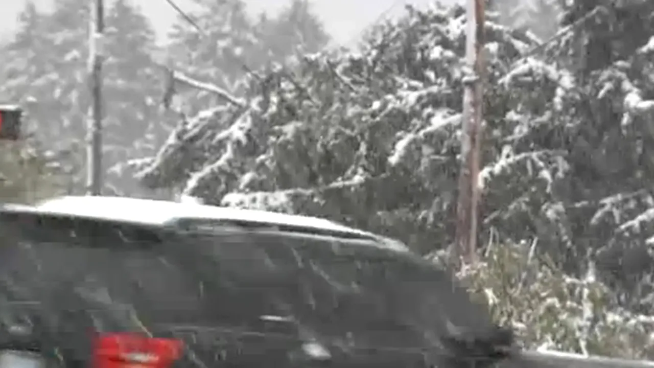 Ninsoare şi viscol în SUA: Trei oameni au murit, două milioane de locuinţe au rămas fără energie - VIDEO