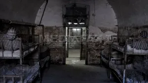 Senat: 300 euro/zi de detenţie - despăgubire pentru condamnaţii regimului comunist şi descendenţi