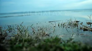 Cod portocaliu pe DUNĂRE. Pericol de inundaţie pentru trei judeţe. IMAGINI cu fluviul care a depăşit cotele de atenţie 
