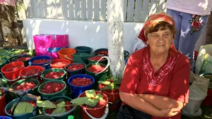 FOTO, VIDEO | Zmeura din comuna prahoveană Gornet ajunge în străinătate prin intermediari. Localitatea, renumită pentru producţia sa