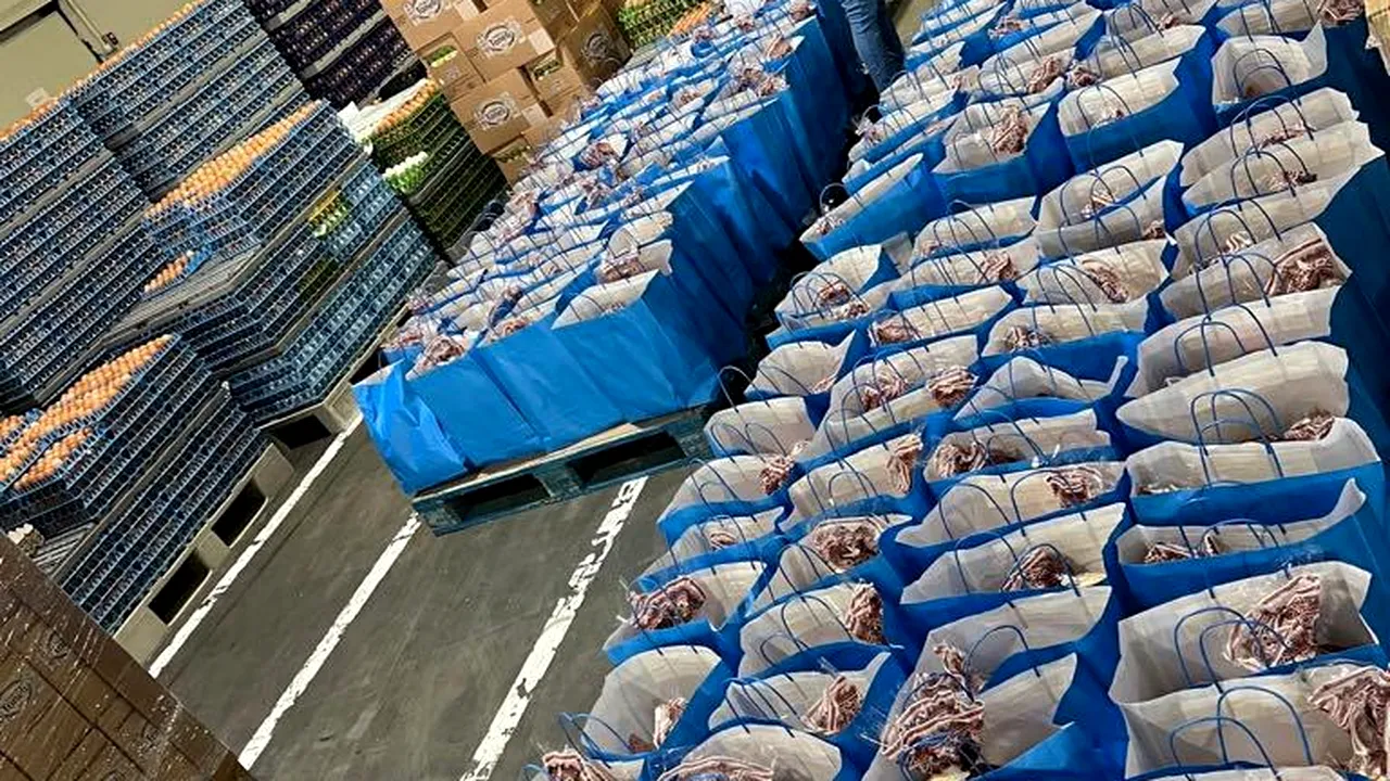 Toneli Holding se implică tot mai mult în acţiuni de CSR 