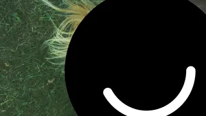 O nouă reţea de socializare: Ce este Ello, platforma care promite siguranţă şi zero publicitate, unde ai acces doar prin invitaţie - FOTO