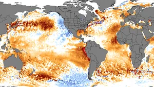 Nivel îngrijorător. Temperatura la suprafaţa oceanelor din întreaga lume a atins un nivel record