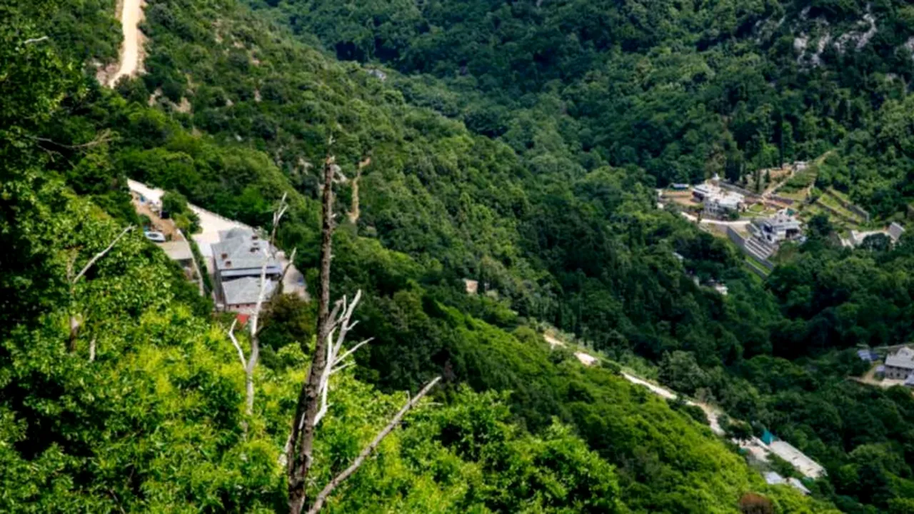 Dezlegare la pește / Două rețete de saramură de pe Athos și o ciorbă de pește lipovenească, pentru Buna Vestire