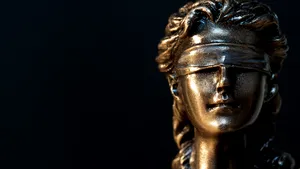 Decizie controversată a justiţiei pentru reintegrarea în societate a unui violator în serie: I-a fost permis accesul condiţionat la bordeluri