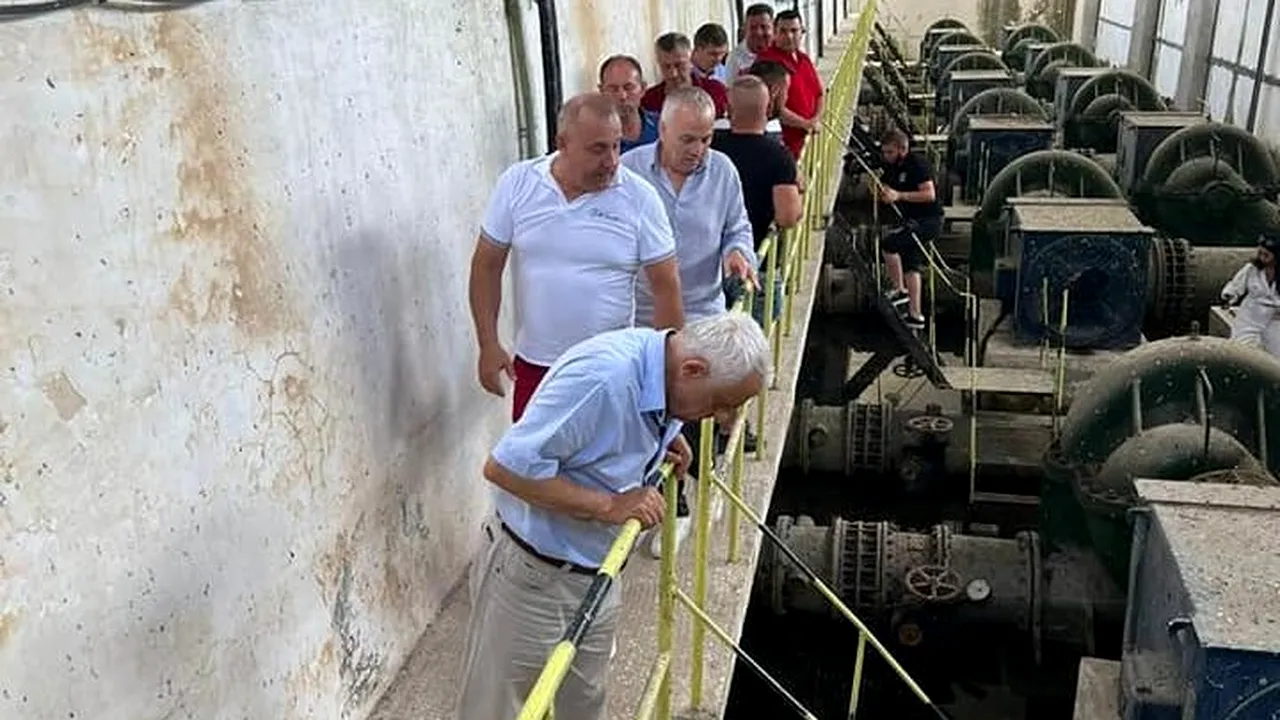 Dezastrul găsit de Daea la o staţie de pompare în Mehedinţi: Vegetaţia forestieră a ocupat canalul
