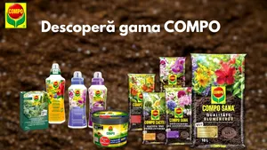 COMPO își extinde prezența în România prin colaborarea cu Verdon