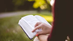 Biblioteca pentru corporatişti a fost dată în judecată de 10 edituri pentru concurenţă neloială. Printre „pârâţi“ se numără şi Ministerul Culturii