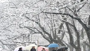 Cod portocaliu şi roşu de furtună în Japonia