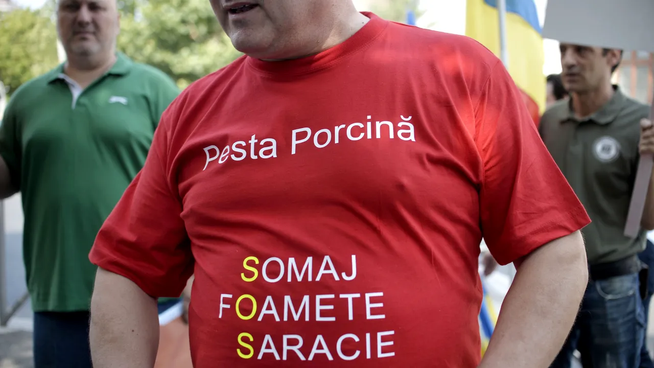PESTA PORCINĂ | Peste 350.000 de porci au fost ucişi, iar sute de oameni şi-au pierdut locurile de muncă. Autorităţile sunt DEPĂŞITE de situaţie şi se cere intervenţia CSAT