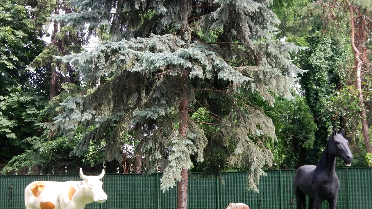 Băsescu, 