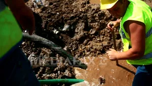 Schelete umane descoperite de muncitorii Apa Nova pe Şoseaua Cotroceni din Bucureşti