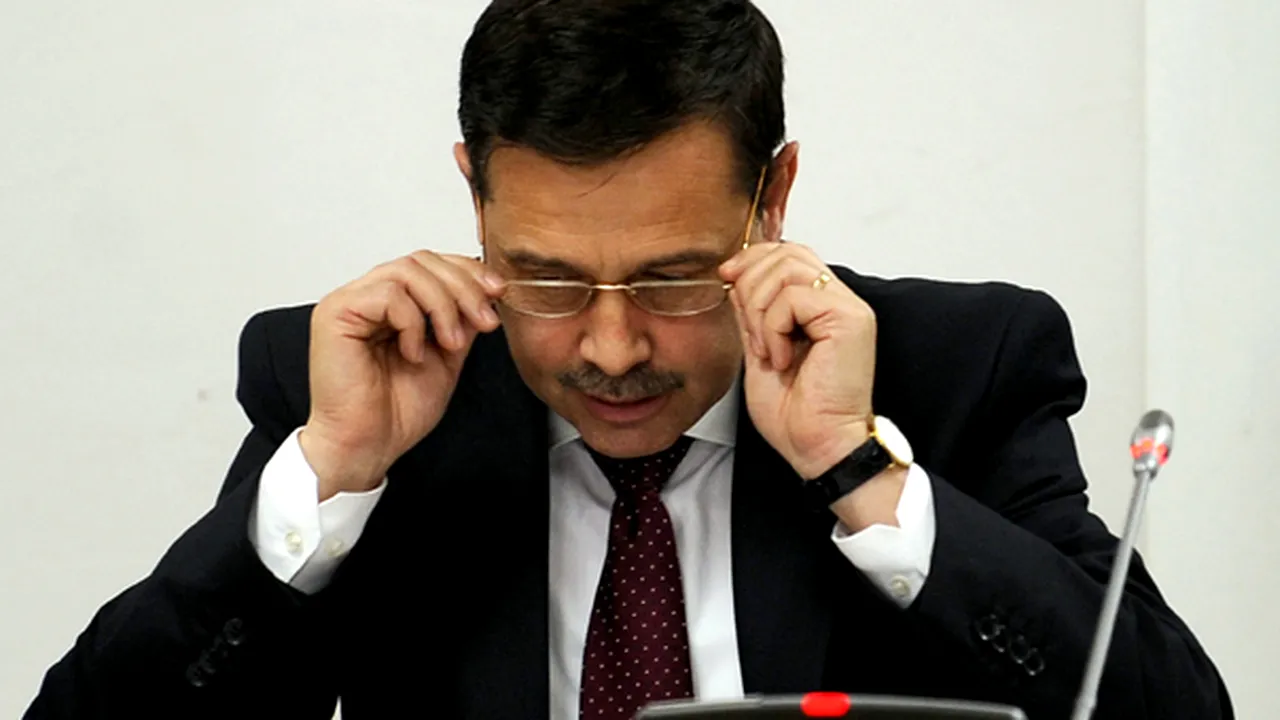 Replici la audierea lui Pogea- Nicolăescu: