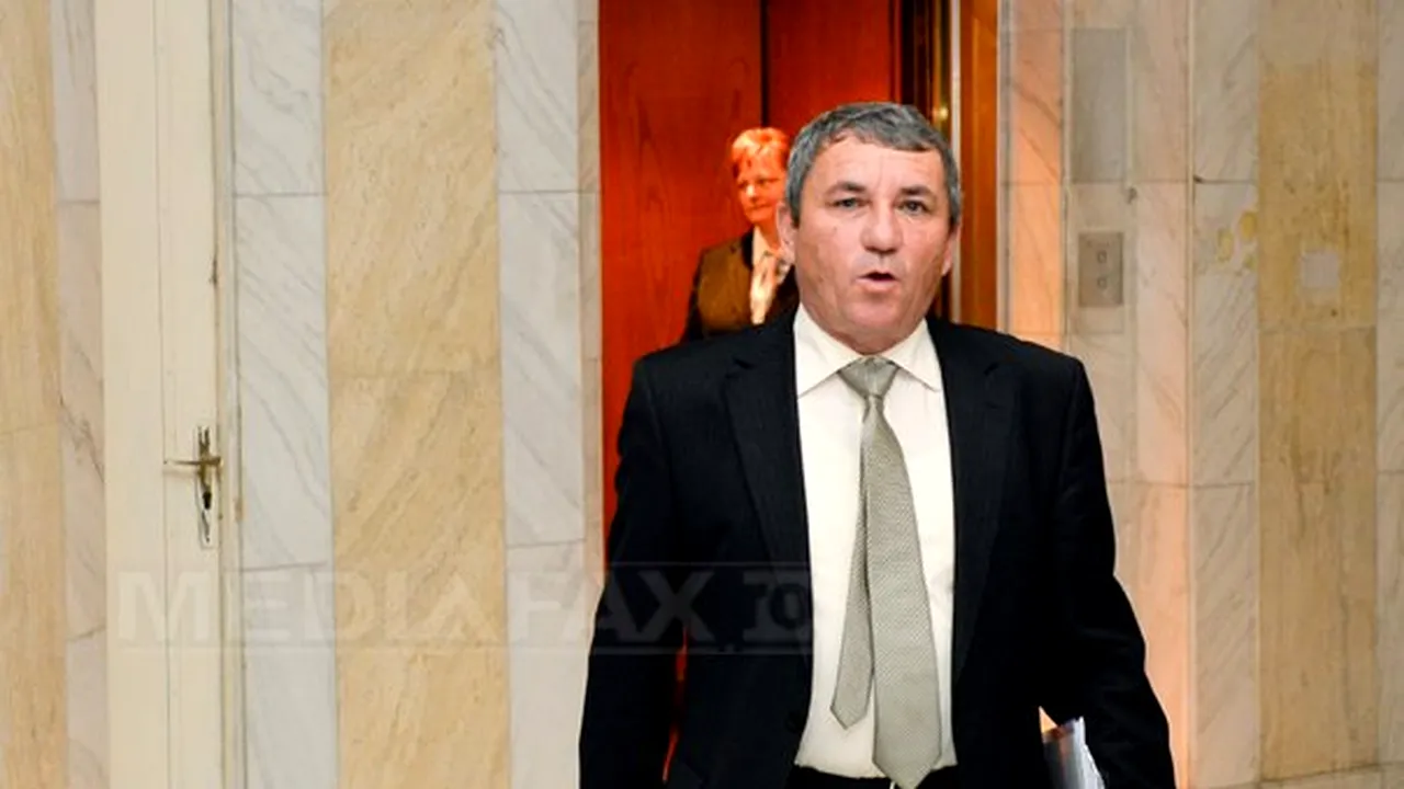 Mircovici, referitor la scrisoarea ministrului Justiţiei privind MCV: Parlamentul nu este cârpa de şters praful a nimănui